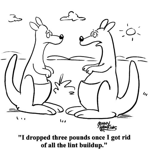 Kangaroo to other: 'I dropped three pounds once I got rid of all the lint buildup.'