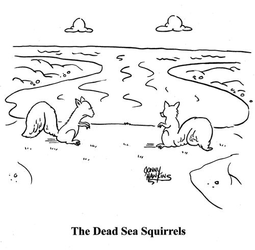 The Dead Sea Squirrels.