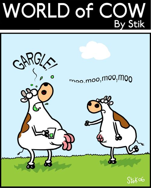 Cows warming up.