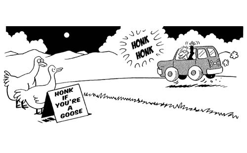 Honk if you're a goose.