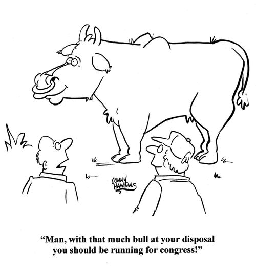 'Man, with that much bull at your disposal you should be running for congress!'