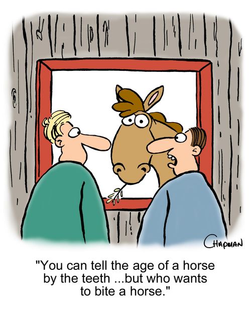 'You can tell the age of a horse by the teeth...but who wants to bite a horse.'