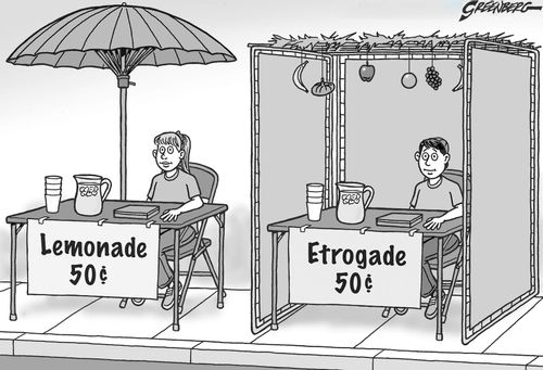 Lemonade and Etrogade Stalls