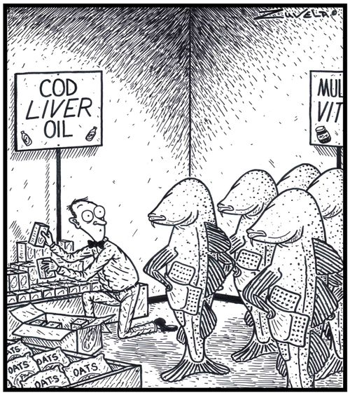 Cod Liver Oil: A group of angry Atlantic Cods have finally found the person who has the remains of their former Livers being sold as a Health product.
