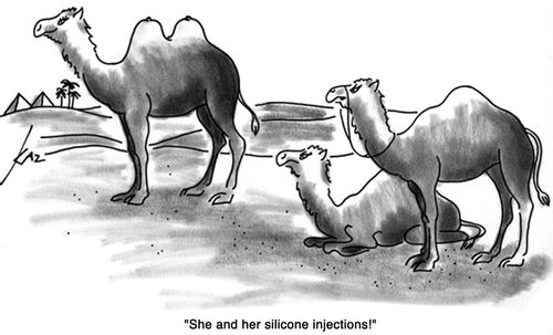 'She and her sillicone injections!'