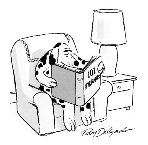 Dog reading '101 Hydrants'