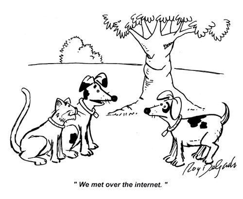 'We met over the internet.'