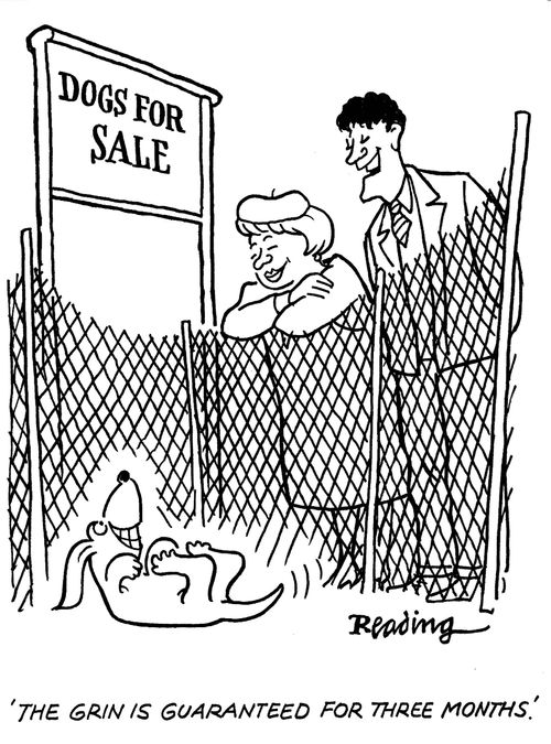 'The grin is guaranteed for three months.'