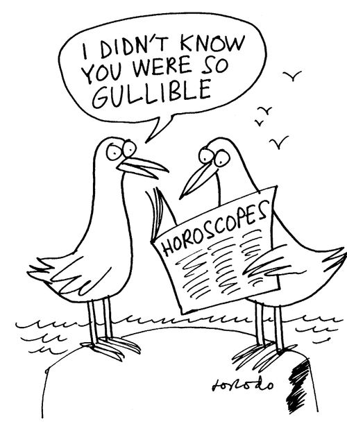 "I didn't know you were so gullible."