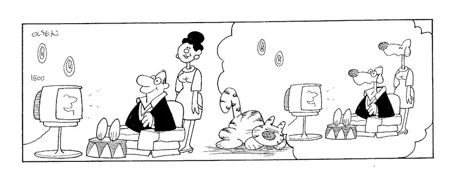 Cat Has A Dream