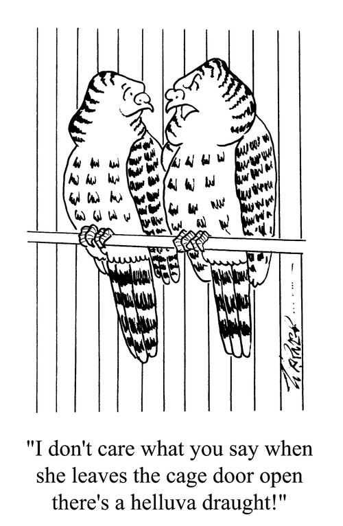 "I don't care what you say when she leaves the cage door open there's a helluva draught"