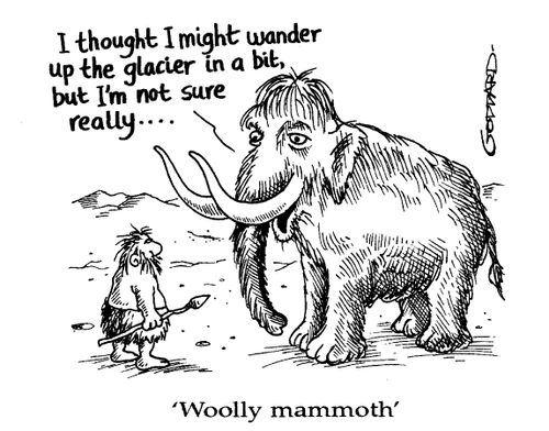'Woolly mammoth'