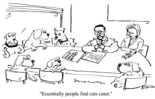 "Essentially people find cat's cuter"
