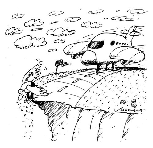 Overshooting the Runway