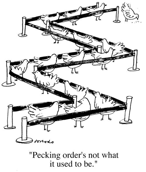 "Pecking order's not what it used to be."
