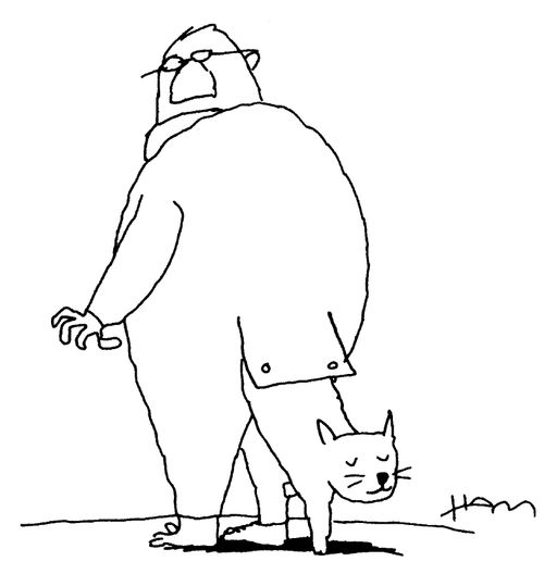 Cat flap 1