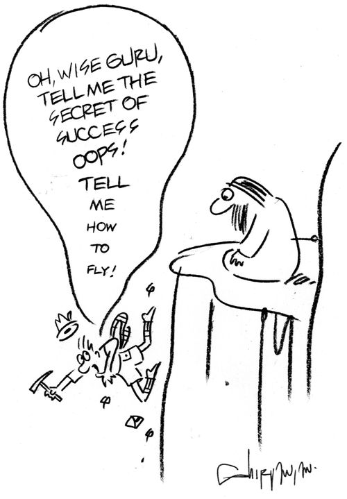'Oh, wise guru tell me the secret of success, Oops tell me how to fly!'