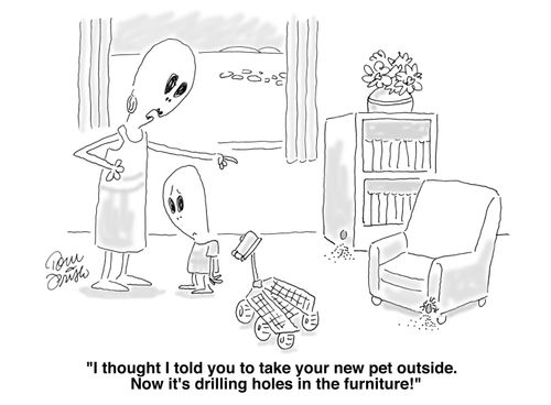 "I thought I told you to take your new pet outside. Now it's drilling holes in the furniture!"