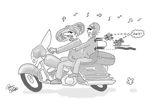 Bikers; Cat and Mouse hang on for dear life.