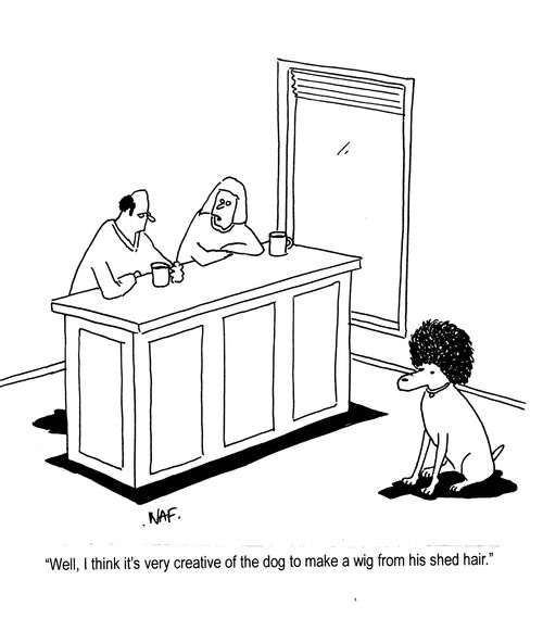 'Well, I think it's very creative of the dog to make a wig from his shed hair.'