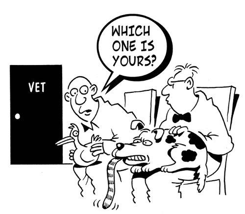 'Which one is yours?' (Man at the vets holding a dog eating a cat).