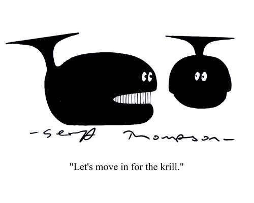'Let's move in for the krill.'