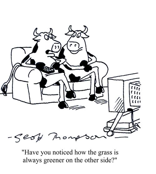 'Have you noticed how the grass is always greener on the other side?'