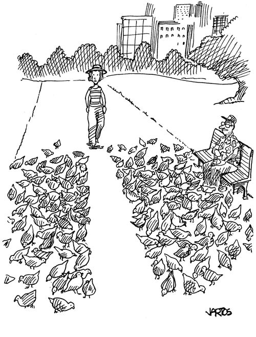 Feeding the birds.