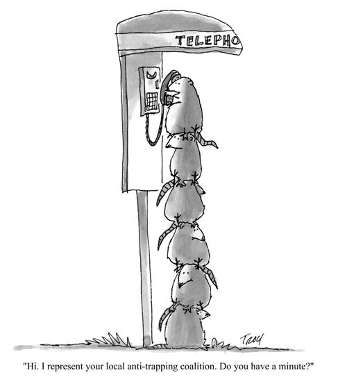 'Hi, I represent your local anti-trapping coalition. Do you have minute?'