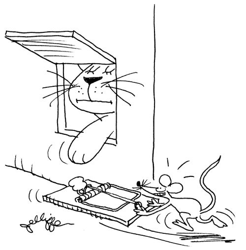 Mousetrap.