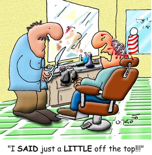 "I said just a Little Off the top!"