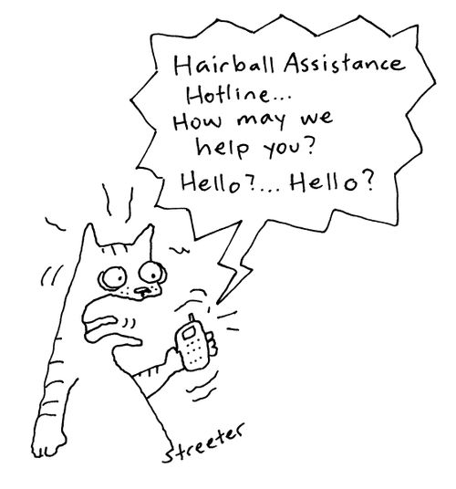 Hairball Assistance Hotline...