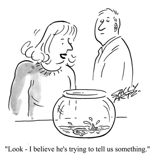 'Look - I believe he's trying to tell us something.'