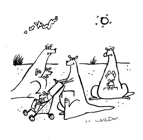 Kangaroo Pushing Buggy.