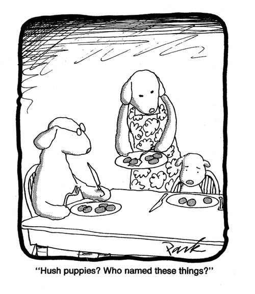 'Hush puppies? Who named these things?'