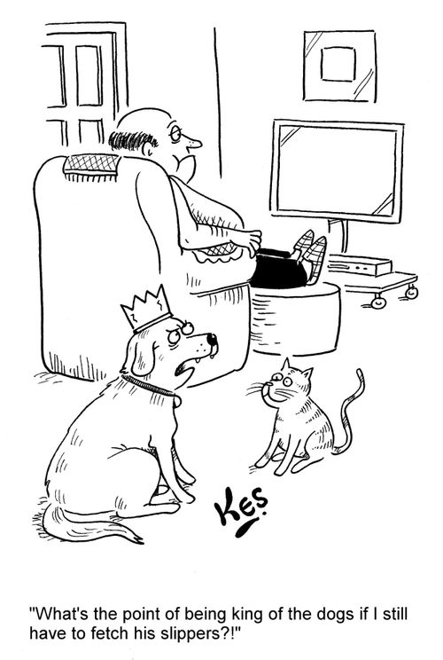 'What's the point of being king of the dogs if I still have to fetch his slippers?!'