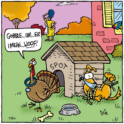 Turkey on the Lamb