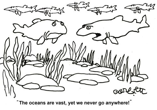 'The oceans are vast, yet we never go anywhere!'