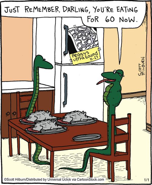 'Just Remember, Darling, you're eating for 60 now.'