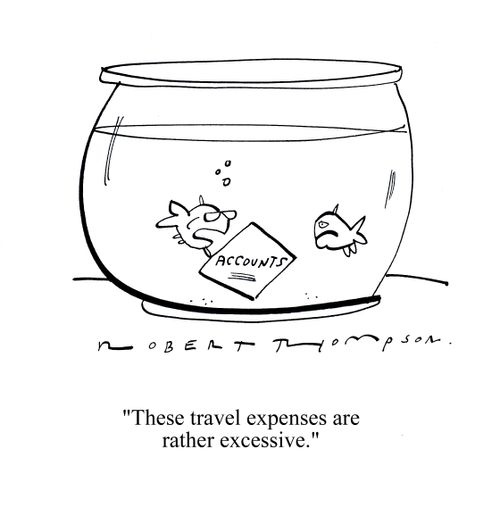 'These travel expenses are rather excessive.'