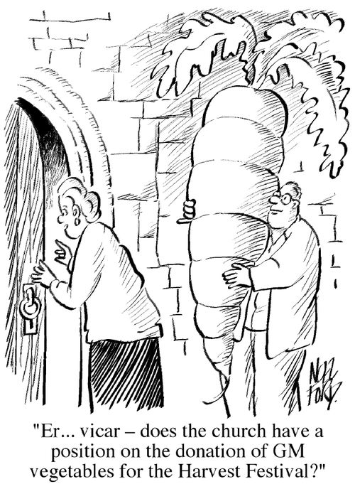 'Er... vicar - does the church have a position on the donation of GM vegetables for the Harvest Festival?'
