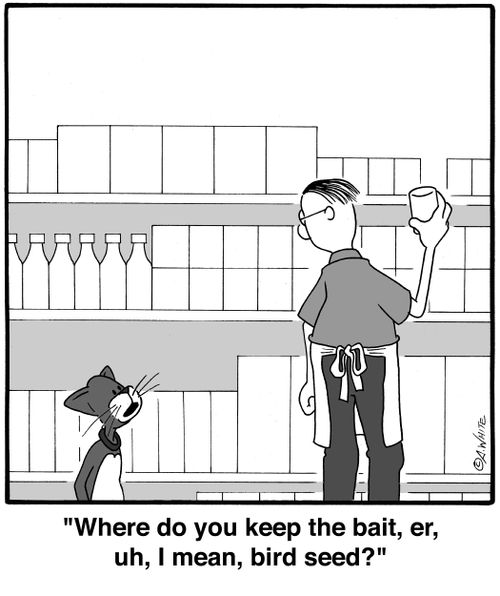 'Where do you keep the bait, er, uh, I mean, bird seed?'