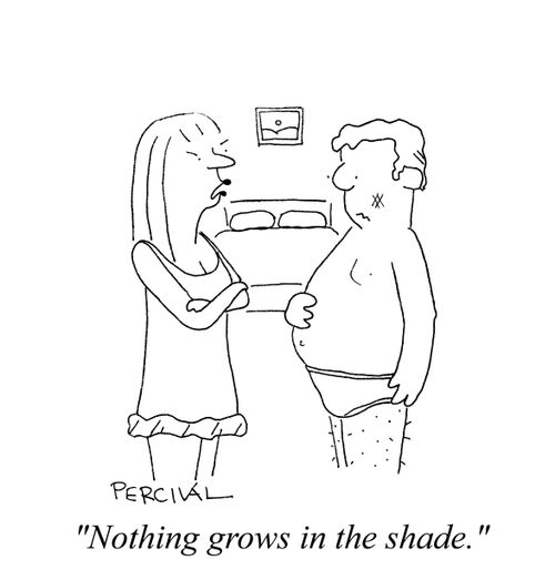 'Nothing grows in the shade.'