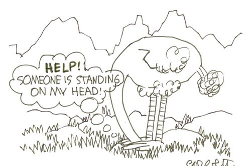 'Help!  Someone is standing on my head!'