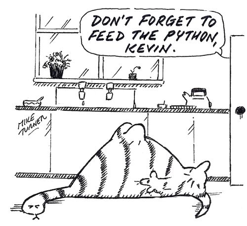 Don't forget to feed the python...