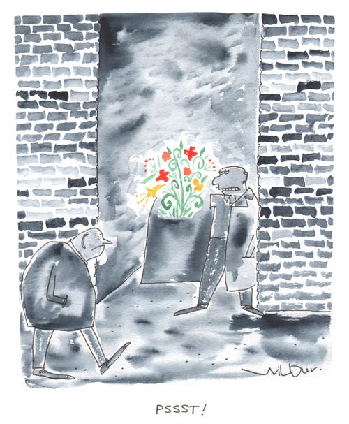 Flower Seller.