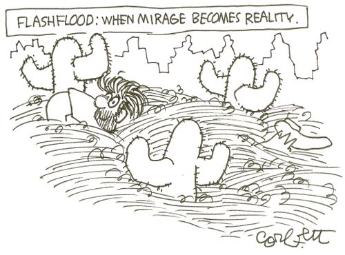 Flashflood: when mirage becomes reality.