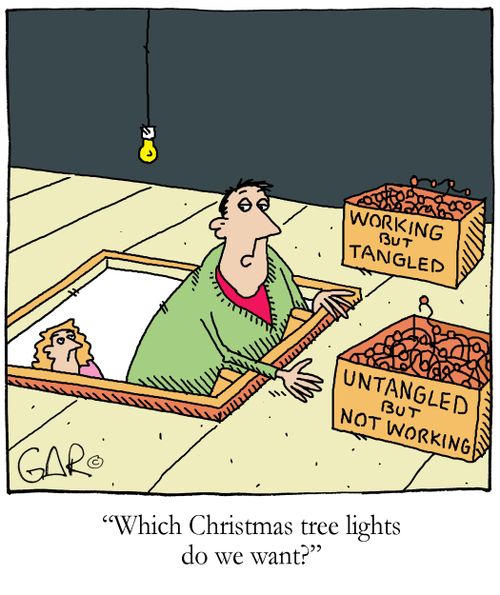 'Which Christmas tree lights do we want?'