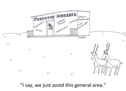 'I say, we just avoid this general area.'