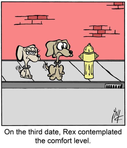 On the third date, Rex contemplated the comfort level.